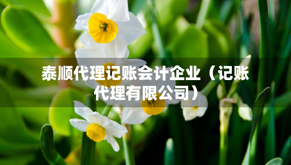 泰顺代理记账会计企业（记账代理有限公司）