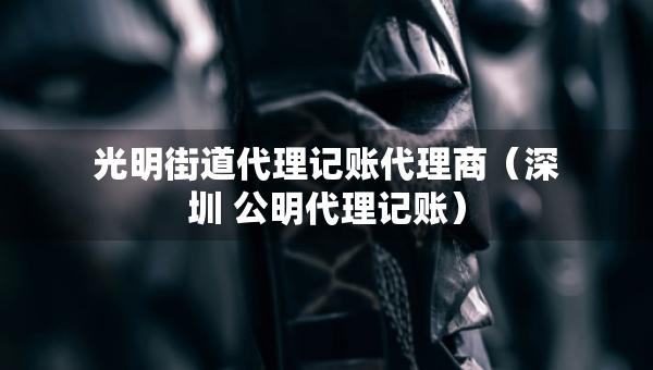 光明街道代理记账代理商（深圳 公明代理记账）