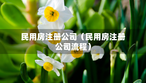 民用房注册公司（民用房注册公司流程）