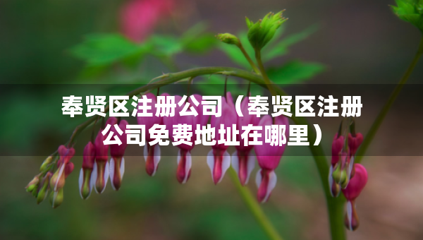 奉贤区注册公司（奉贤区注册公司免费地址在哪里）