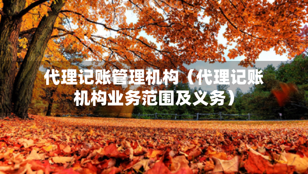 代理记账管理机构（代理记账机构业务范围及义务）