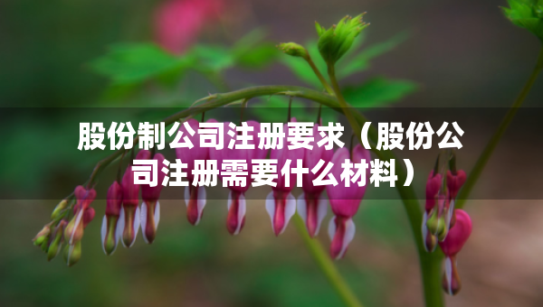 股份制公司注册要求（股份公司注册需要什么材料）