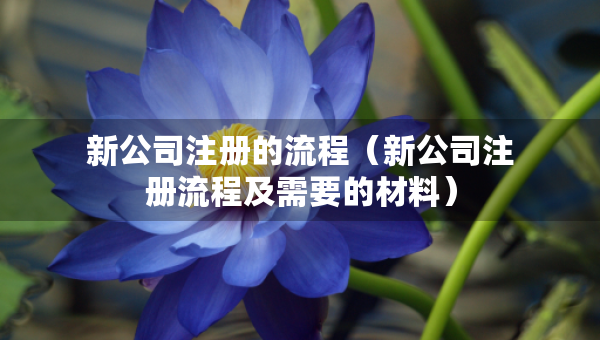 新公司注册的流程（新公司注册流程及需要的材料）
