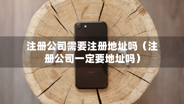 注册公司需要注册地址吗（注册公司一定要地址吗）