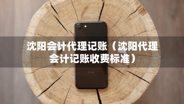沈阳会计代理记账（沈阳代理会计记账收费标准）