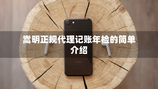 嵩明正规代理记账年检的简单介绍