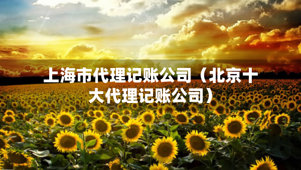 上海市代理记账公司（北京十大代理记账公司）