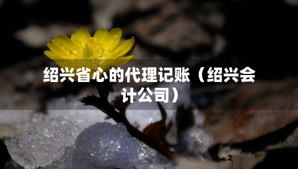 绍兴省心的代理记账（绍兴会计公司）