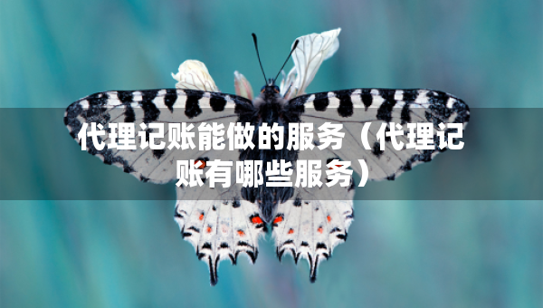 代理记账能做的服务（代理记账有哪些服务）