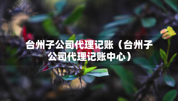 台州子公司代理记账（台州子公司代理记账中心）