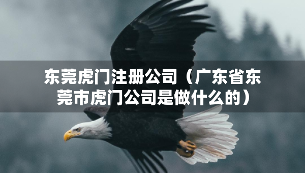 东莞虎门注册公司（广东省东莞市虎门公司是做什么的）