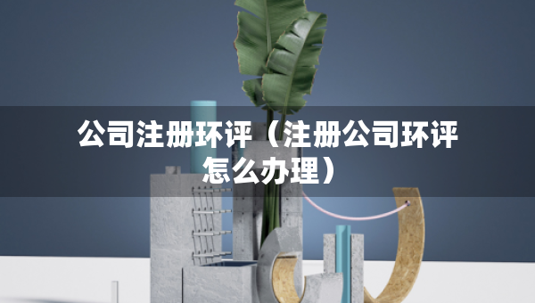 公司注册环评（注册公司环评怎么办理）