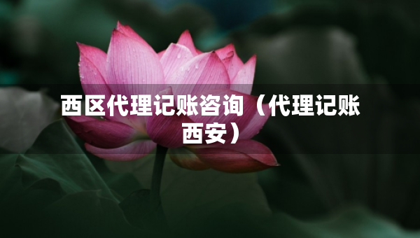 西区代理记账咨询（代理记账西安）