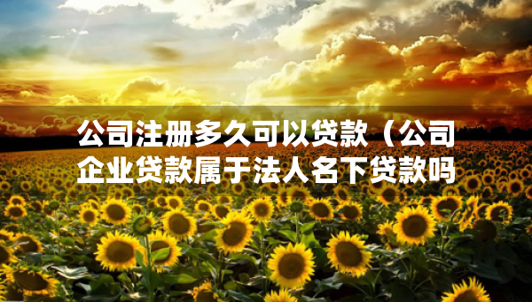 公司注册多久可以贷款（公司企业贷款属于法人名下贷款吗）