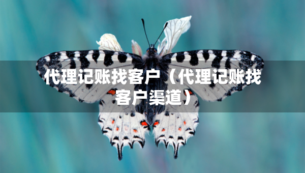 代理记账找客户（代理记账找客户渠道）