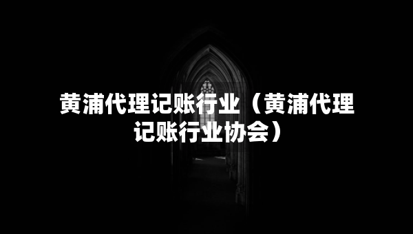 黄浦代理记账行业（黄浦代理记账行业协会）