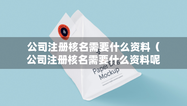公司注册核名需要什么资料（公司注册核名需要什么资料呢）