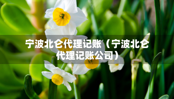 宁波北仑代理记账（宁波北仑代理记账公司）
