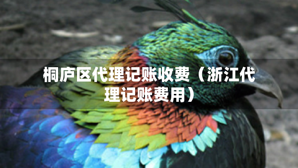 桐庐区代理记账收费（浙江代理记账费用）