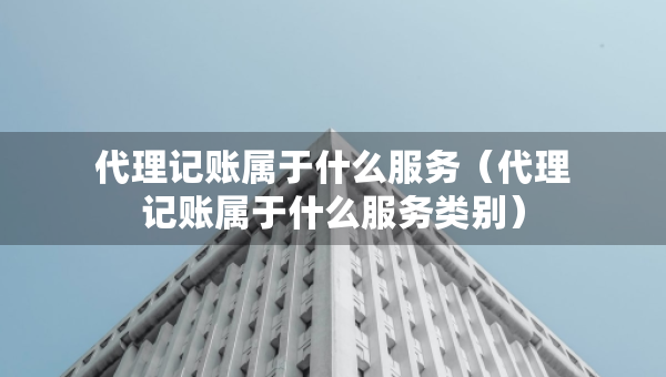 代理记账属于什么服务（代理记账属于什么服务类别）