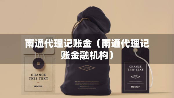 南通代理记账金（南通代理记账金融机构）