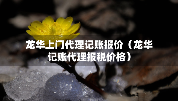 龙华上门代理记账报价（龙华记账代理报税价格）