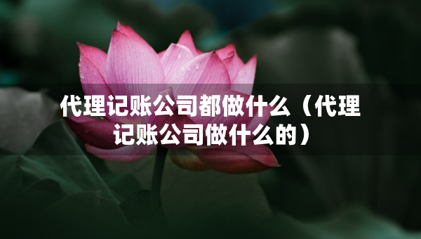 代理记账公司都做什么(代理记账公司做什么的) 代理记账公司都做什么(代理记账公司做什么的)