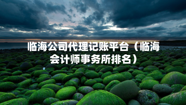 临海公司代理记账平台（临海会计师事务所排名）