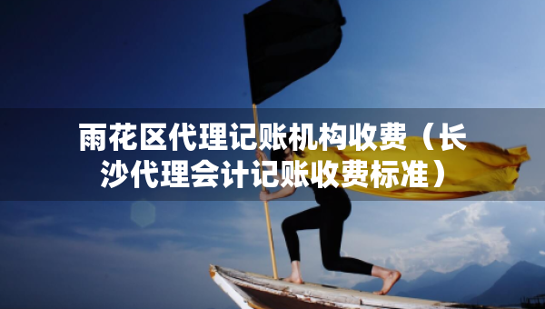 雨花区代理记账机构收费（长沙代理会计记账收费标准）