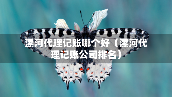 漯河代理记账哪个好（漯河代理记账公司排名）