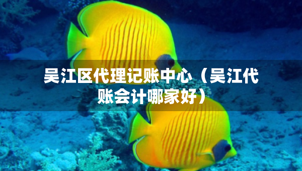 吴江区代理记账中心（吴江代账会计哪家好）