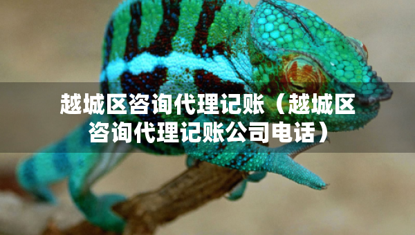 越城区咨询代理记账（越城区咨询代理记账公司电话）