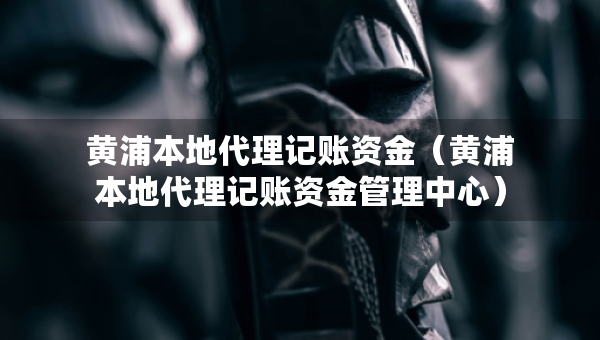 黄浦本地代理记账资金（黄浦本地代理记账资金管理中心）