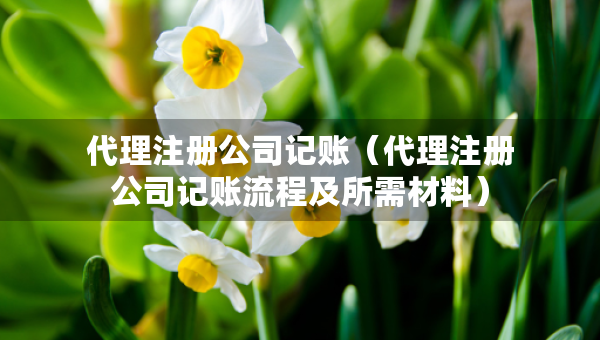 代理注册公司记账（代理注册公司记账流程及所需材料）