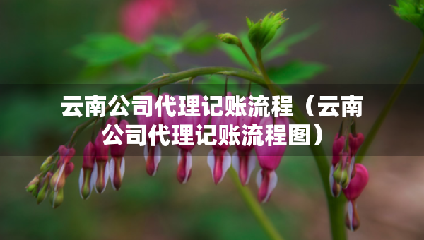 云南公司代理记账流程（云南公司代理记账流程图）
