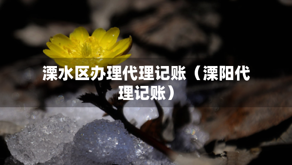 溧水区办理代理记账（溧阳代理记账）