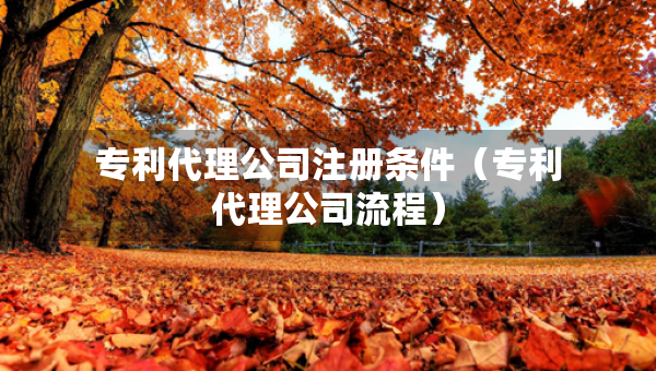 专利代理公司注册条件（专利代理公司流程）