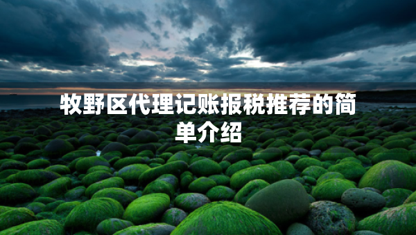 牧野区代理记账报税推荐的简单介绍