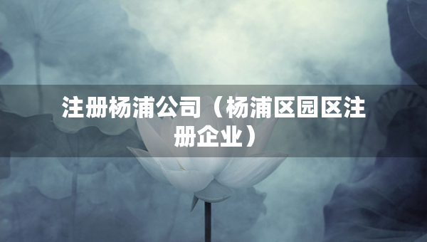 注册杨浦公司（杨浦区园区注册企业）
