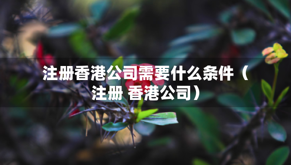 注册香港公司需要什么条件（注册 香港公司）