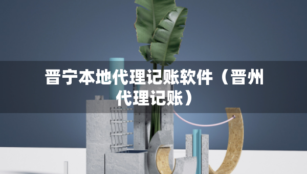 晋宁本地代理记账软件（晋州代理记账）