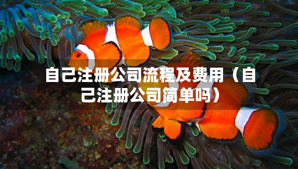 自己注册公司流程及费用（自己注册公司简单吗）