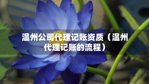 温州公司代理记账资质(温州代理记账的流程) 温州公司代理记账资质(温州代理记账的流程)