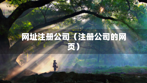 网址注册公司（注册公司的网页）