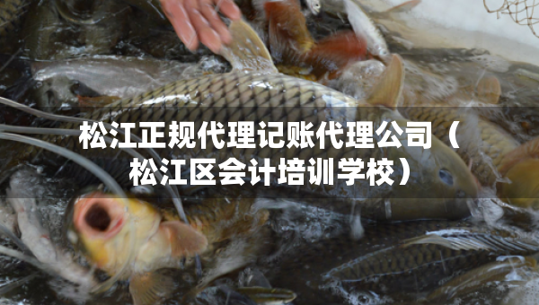 松江正规代理记账代理公司（松江区会计培训学校）