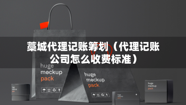 藁城代理记账筹划（代理记账公司怎么收费标准）