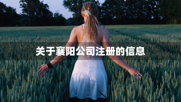 关于襄阳公司注册的信息