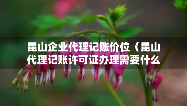 昆山企业代理记账价位（昆山代理记账许可证办理需要什么条件）