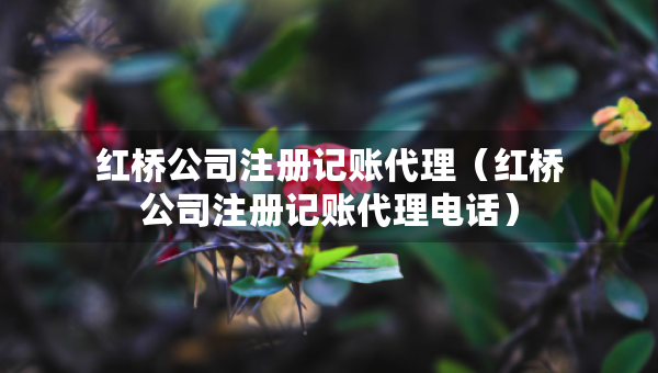 红桥公司注册记账代理（红桥公司注册记账代理电话）