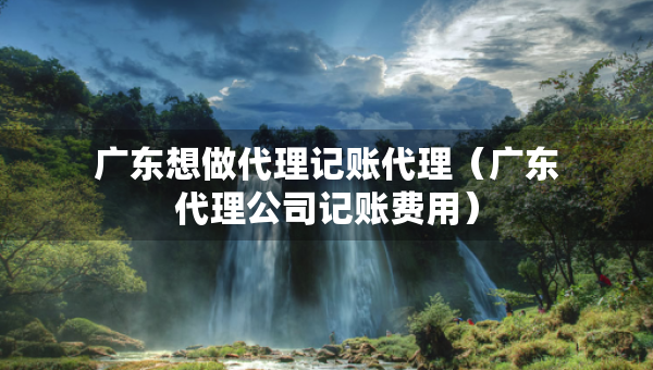 广东想做代理记账代理（广东代理公司记账费用）